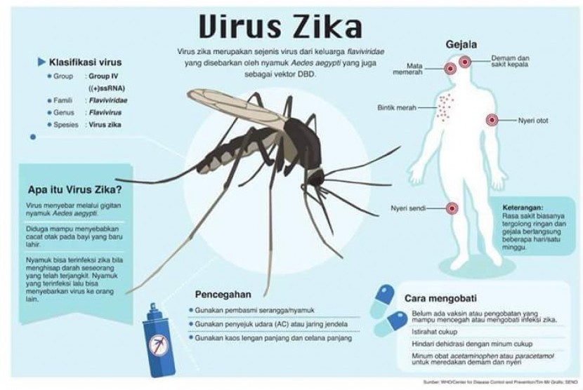 ilustrasi-gejala-tertular-virus-zika-_160201073506-917.jpg