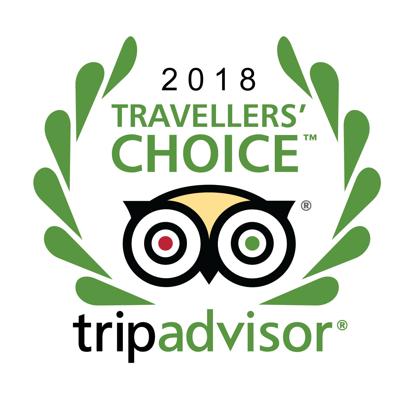 Travelers_choice_logo copy.jpg