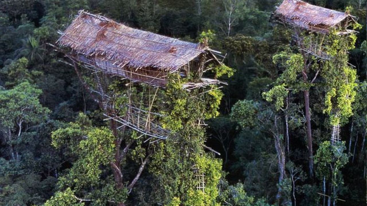 Suku Korowai, Papua1.jpg
