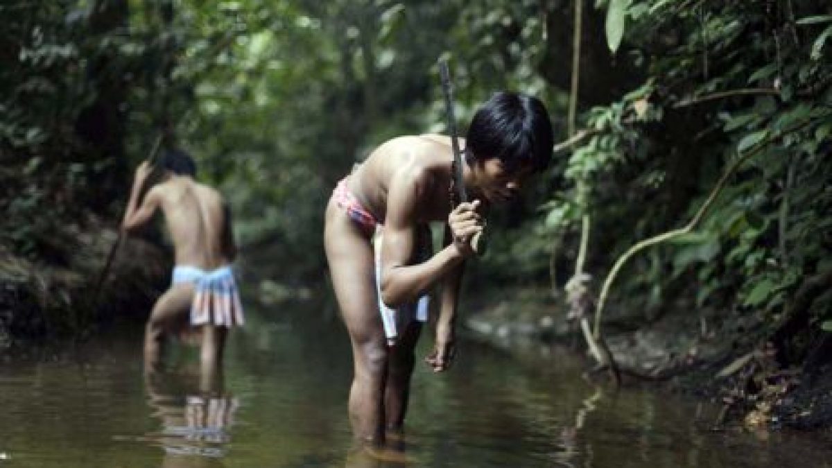 suku anak dalam2.jpg