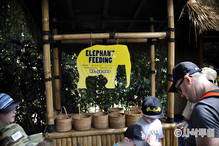 700_DSC6681.JPG