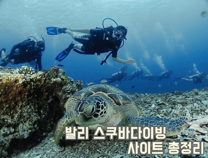 dive bali333_7210177.JPG