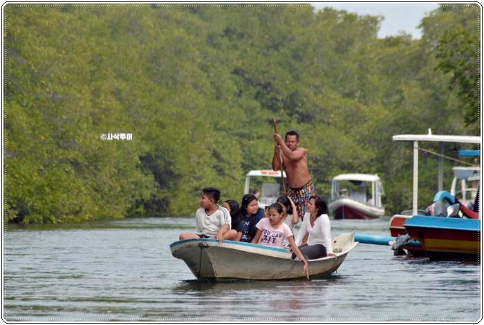 mangrove011.JPG