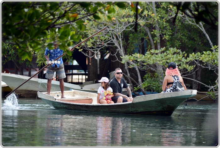 mangrove010.JPG