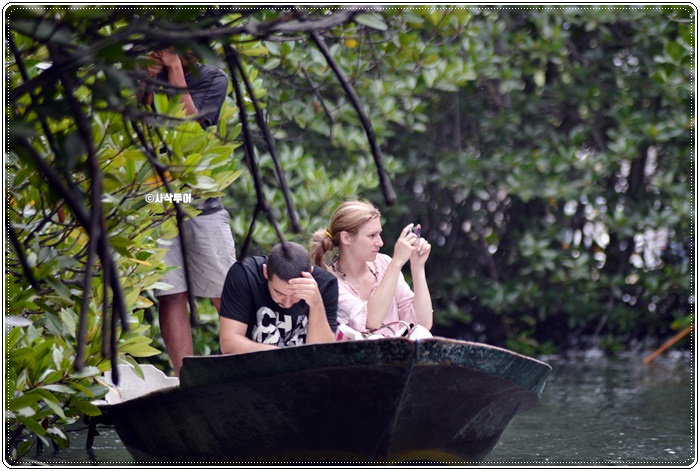 mangrove008.JPG
