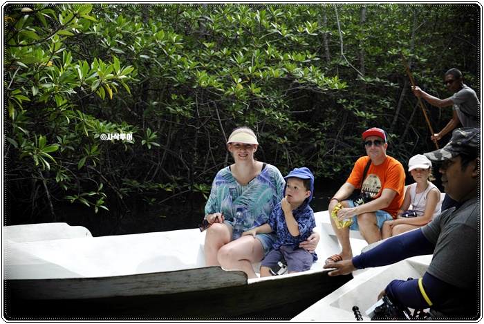 mangrove002.JPG