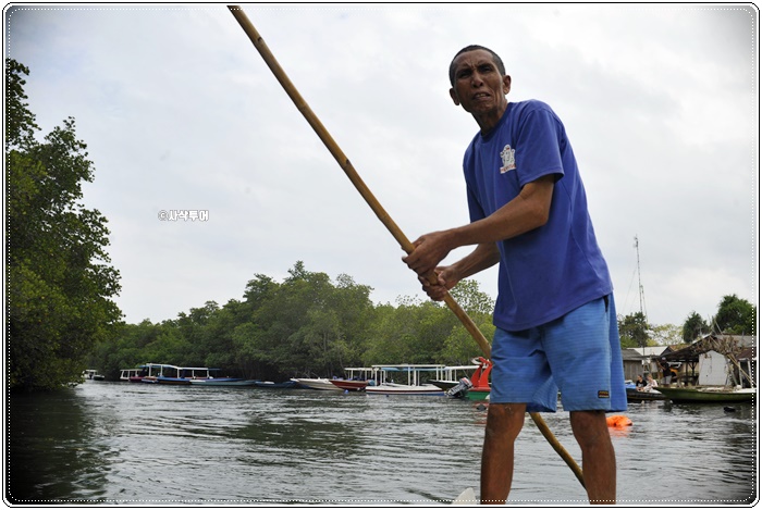 mangrove003.JPG