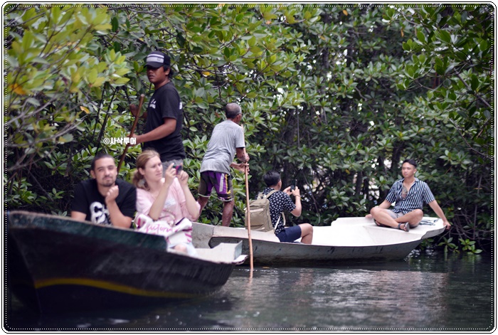 mangrove009.JPG
