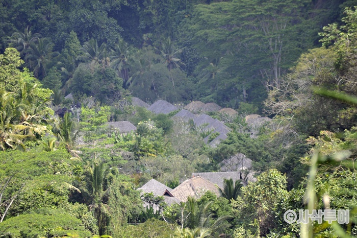 sepaR700_DSC5177.JPG
