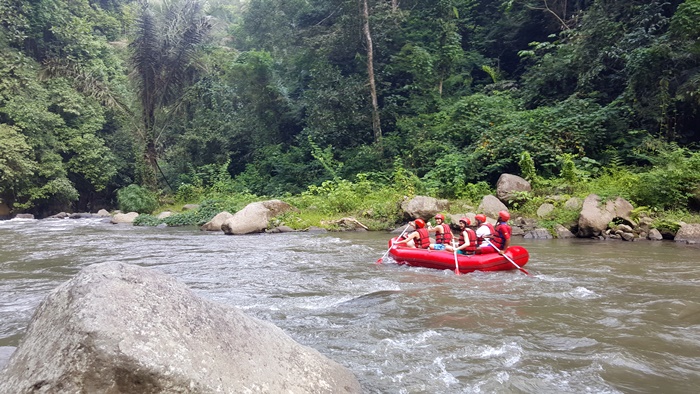 sepaR70020180603_123137.jpg