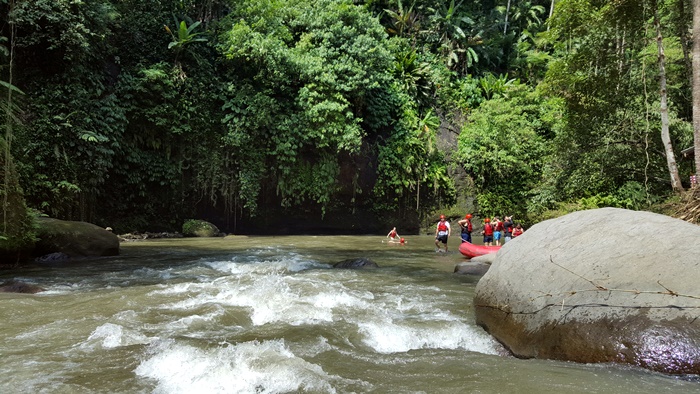 sepaR70020180603_125825.jpg