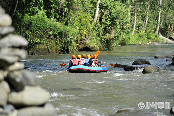 sepaR700_DSC5183.JPG