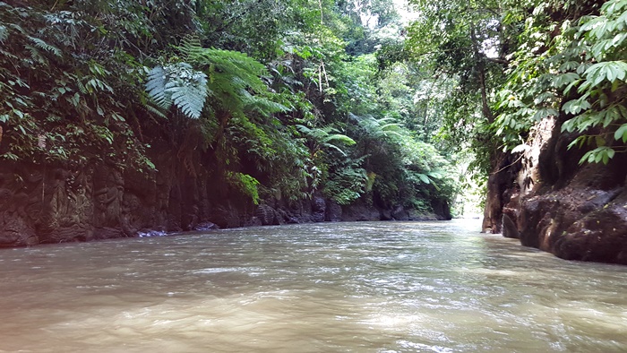 sepaR70020180603_125457.jpg