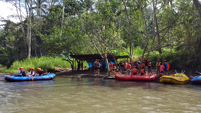 sepaR70020180603_134913.jpg