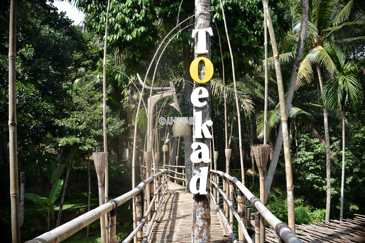 sepaR1280SIN_4388.JPG
