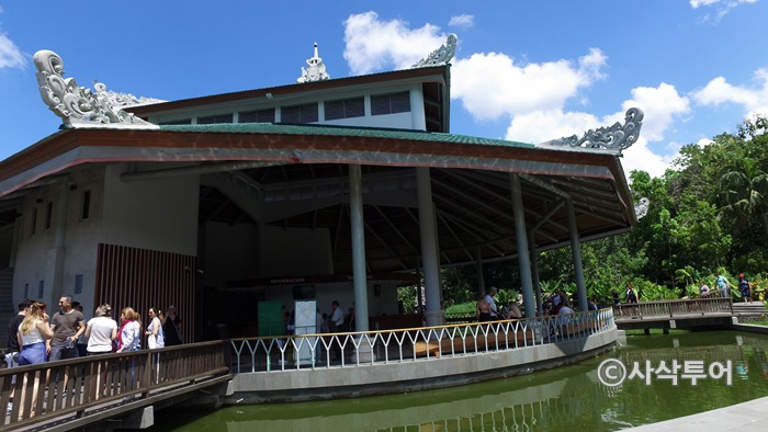 700monkeyDJI_0081.JPG