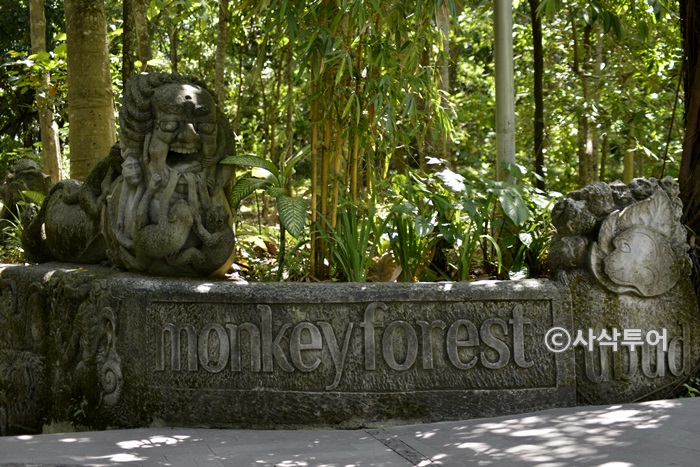 700monkey_SIN4148.JPG