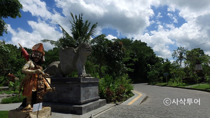 700monkeyDJI_0080.JPG