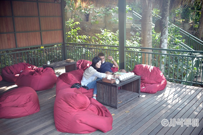 Swing700SIN_4446.JPG