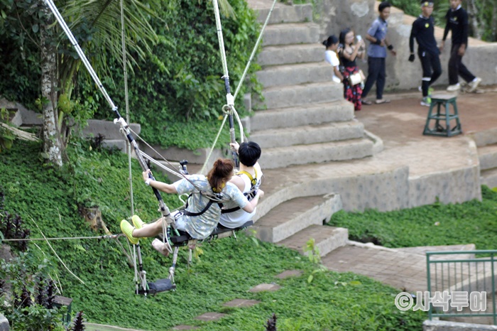 Swing700_DSC5294.JPG