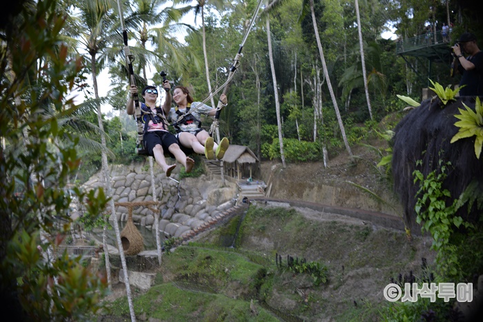 Swing700_SIN6481.JPG