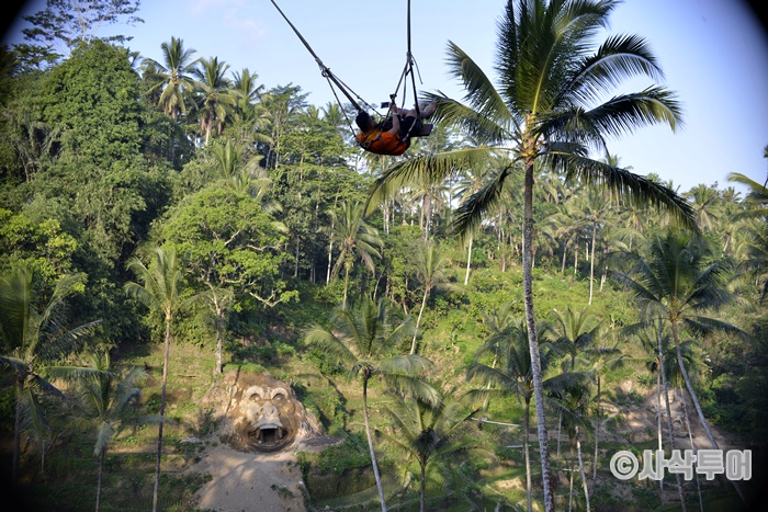 Swing700_SIN6519.JPG