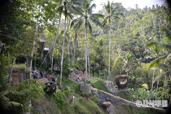 Swing700_SIN6435.JPG