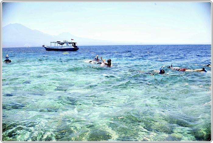 700menjangan_DSC6462.JPG