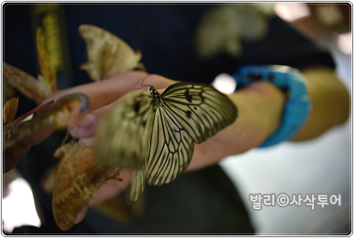 700DSC_8992.JPG