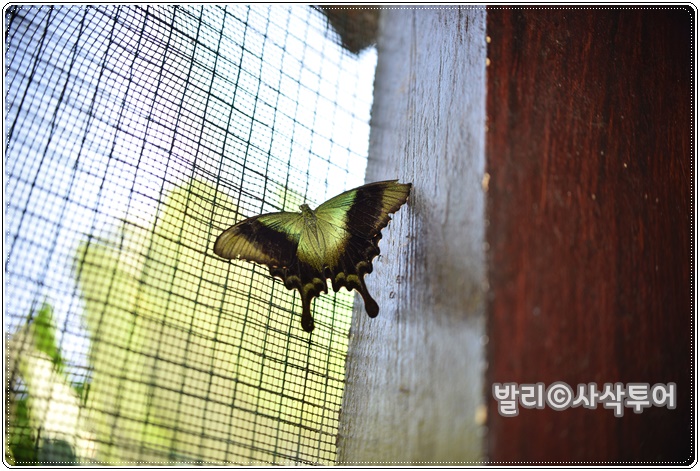 700DSC_8982.JPG