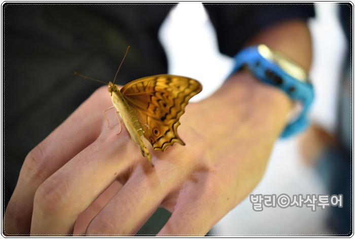 700DSC_8988.JPG