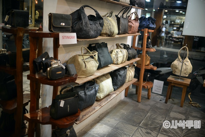 700SASAKTOUR_811.jpg