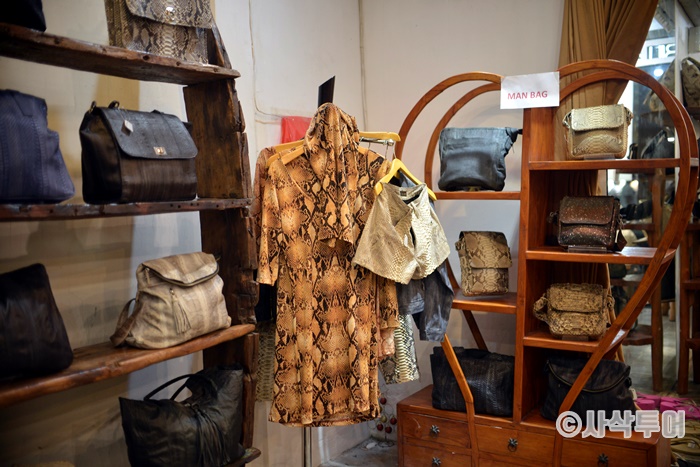 700SASAKTOUR_810.jpg