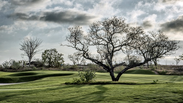 700BPGCC_HOLE 5.jpg
