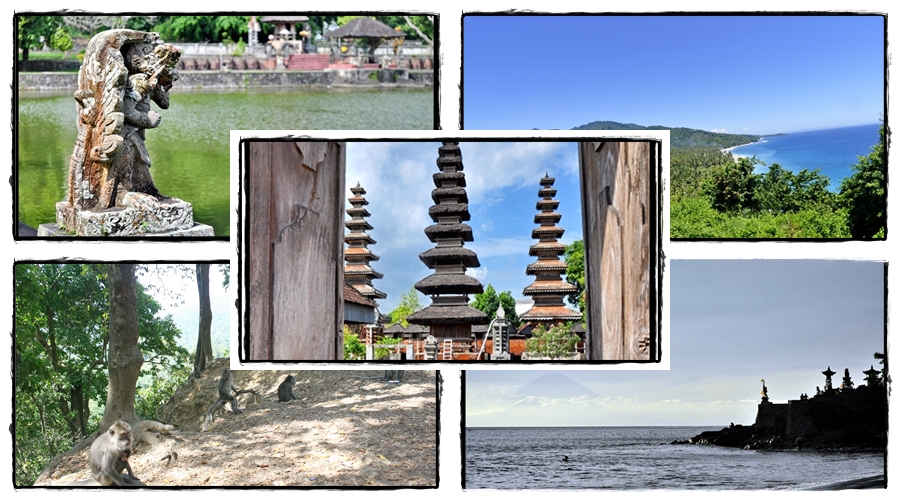 1531be95545a58e667df75375d9ca64a.jpg