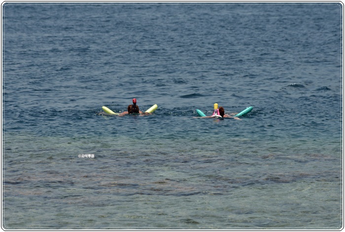 gilillayr003.JPG