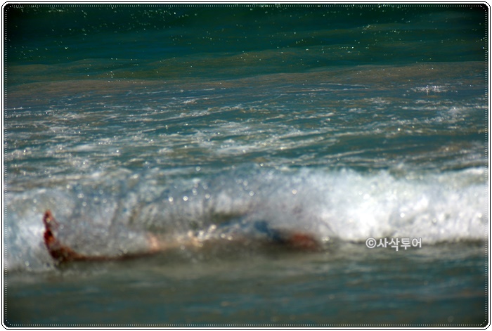 lomboksurf700lomboksurfDSC_6571.jpg