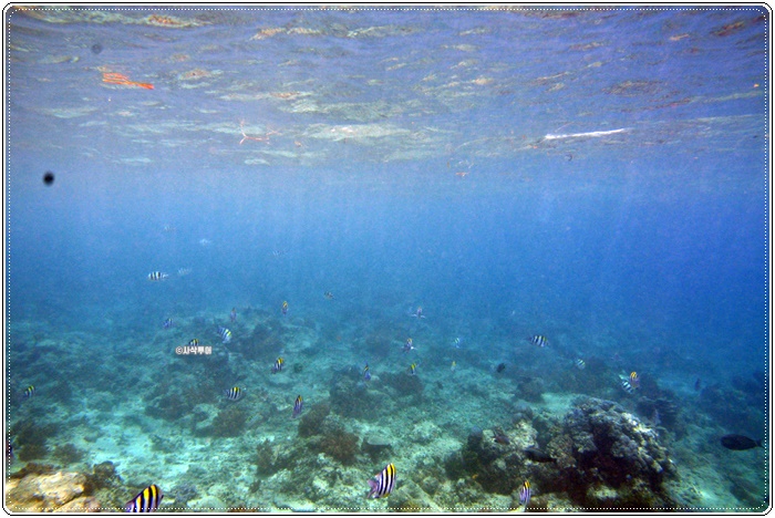 gili air006.JPG