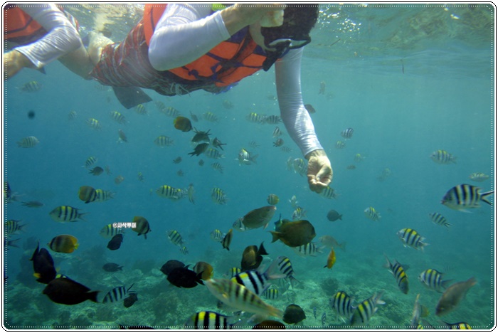 gili air007.JPG