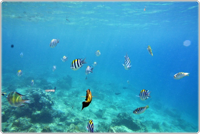 gili air005.JPG