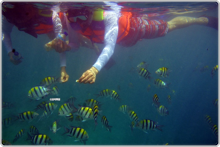gili air004.JPG