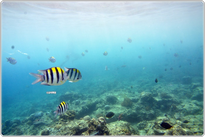gili air003.JPG