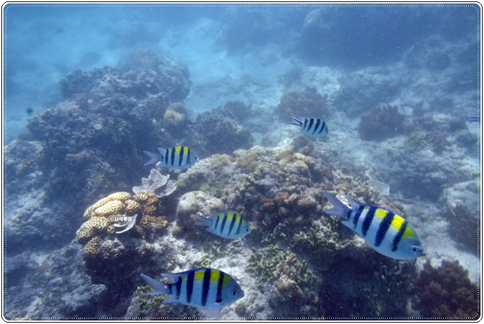 gili air010.JPG