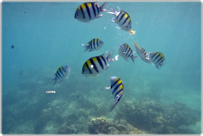 gili air009.JPG