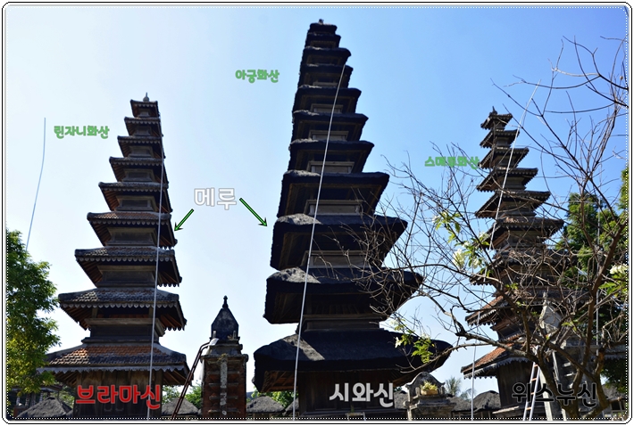 2560_SIN9196111.JPG