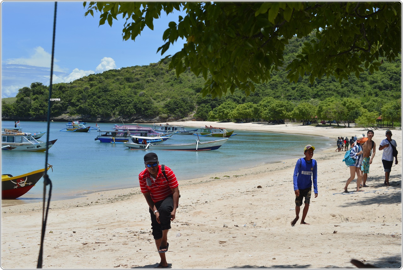 pink beach004.JPG