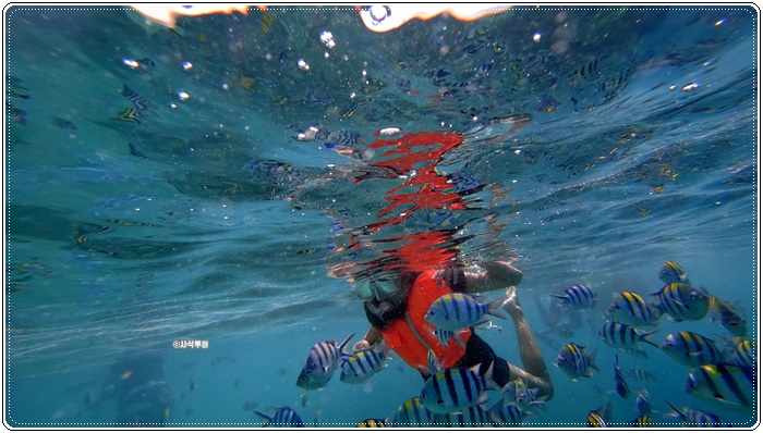gili nanggu005.JPG