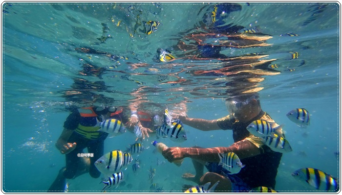 gili nanggu002.JPG