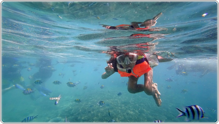gili nanggu004.JPG