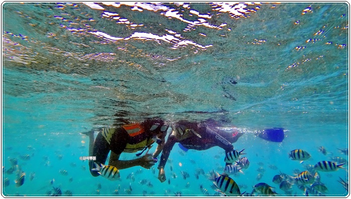 gili nanggu001.JPG